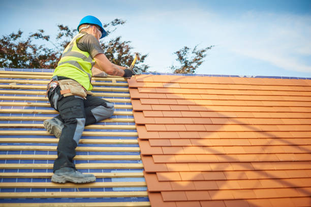 Best Metal Roofing Installation  in Ainsworth, NE